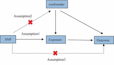 Pre-school children single inhalation anesthetic exposure and neuro-psychological development: a prospective study and Mendelian randomization analysis